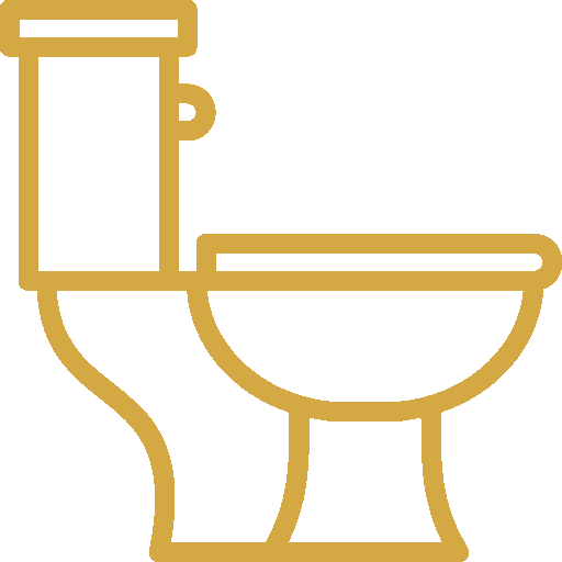 Toilet repair icon